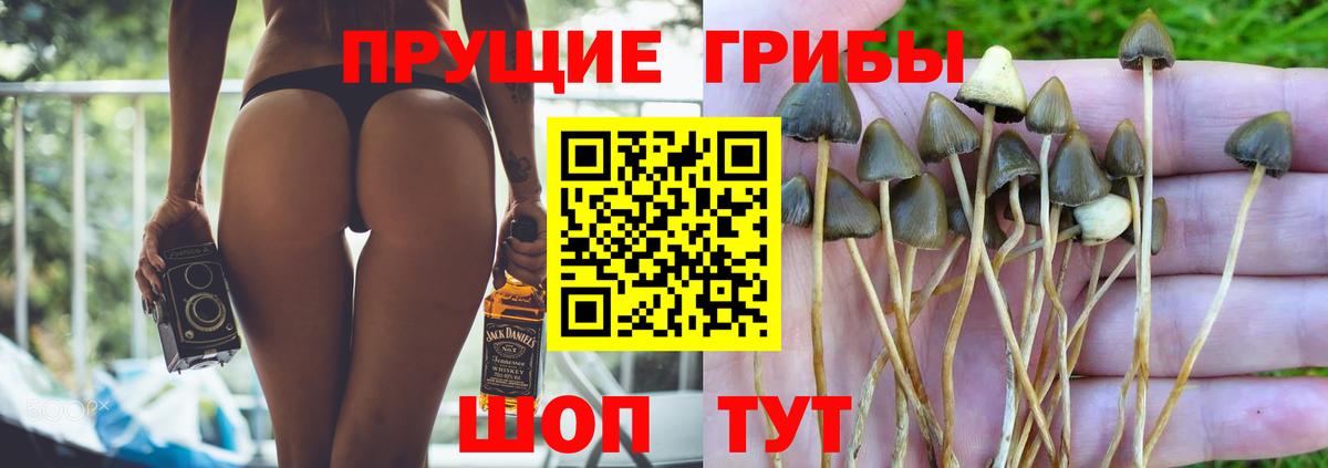 Псилоцибиновые грибы мухоморы  Псилоцибиновые грибы GOLDEN TEACHER  Гуково  Вход с VPN 